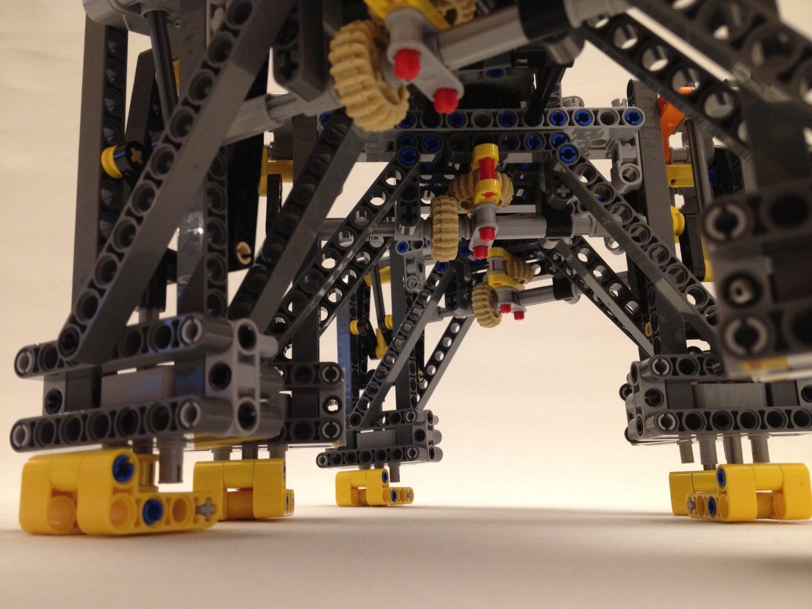 Insect Walker | Frank van der Most